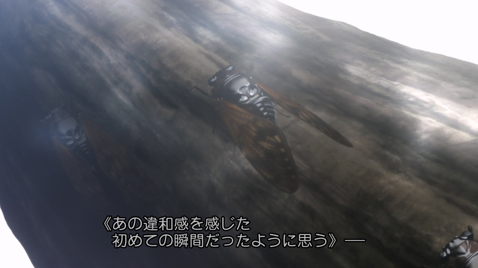 SGM_20241003_112553.692